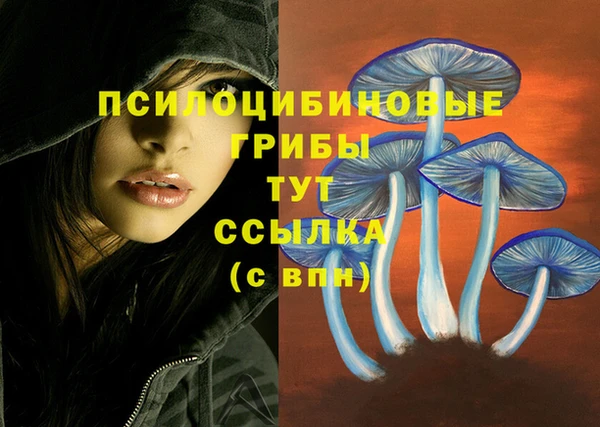 альфа пвп Ельня